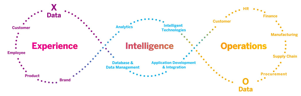 visir-SAP-marketing-Cloud